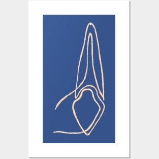Line Canine Tooth Posters and Art